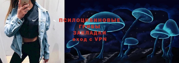 герыч Арсеньев