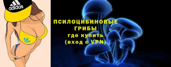 гашик Аркадак