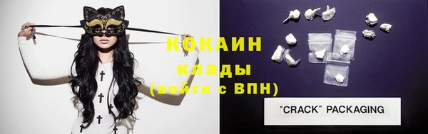 гашик Аркадак
