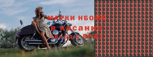 гашик Аркадак