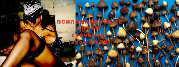 гашик Аркадак
