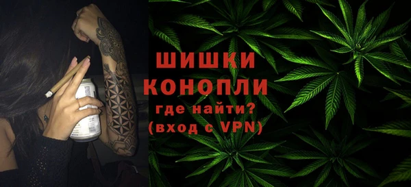 гашик Аркадак
