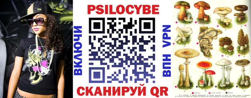 Псилоцибиновые грибы Cubensis  Нолинск 